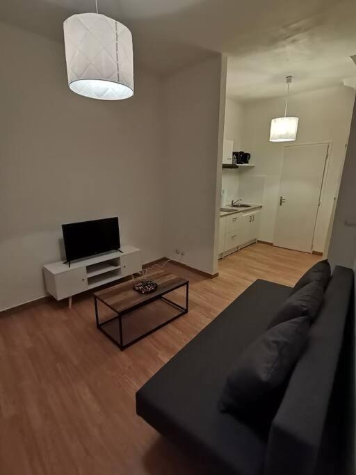 Au Cœur Du Quartier Historique Appartement